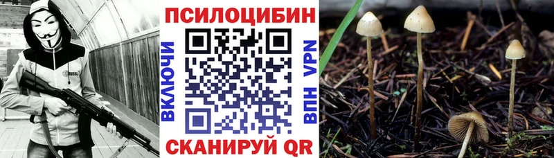 закладка  Октябрьск  Псилоцибиновые грибы Cubensis 